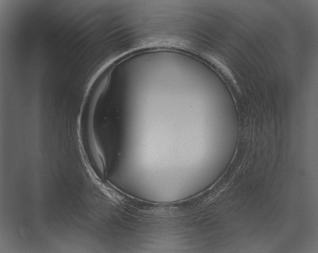X0000075340936200610061651