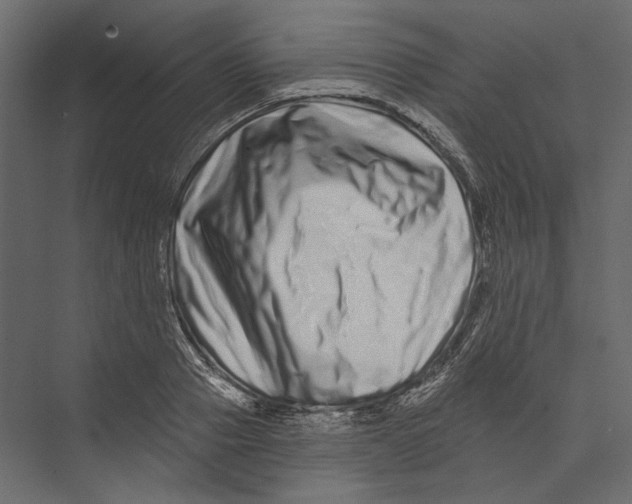 X0000075340937200610061651