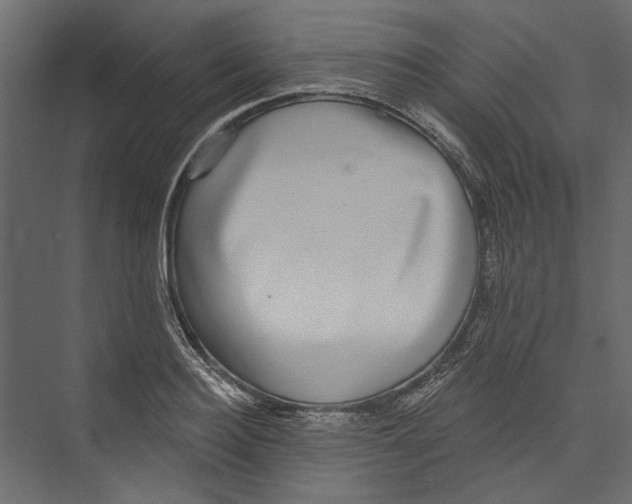X0000075340940200610061651