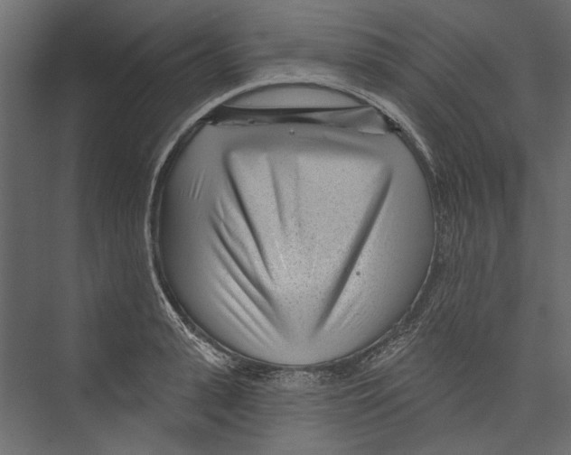 X0000075340943200610061651