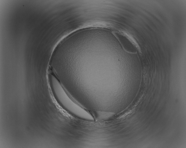 X0000075340944200610061651