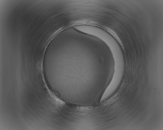 X0000075340946200610061651