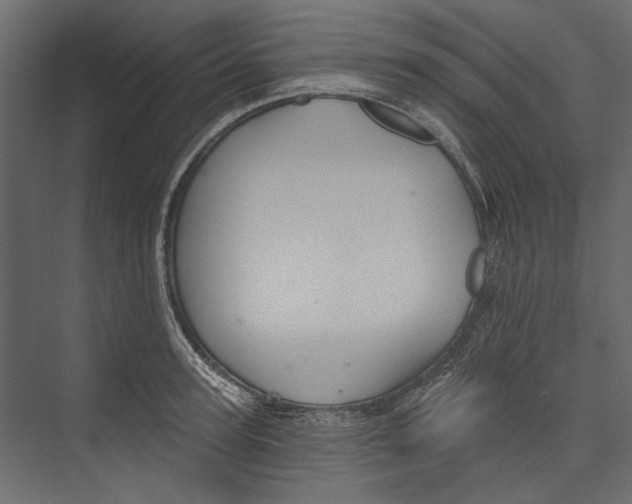 X0000075340947200610061651