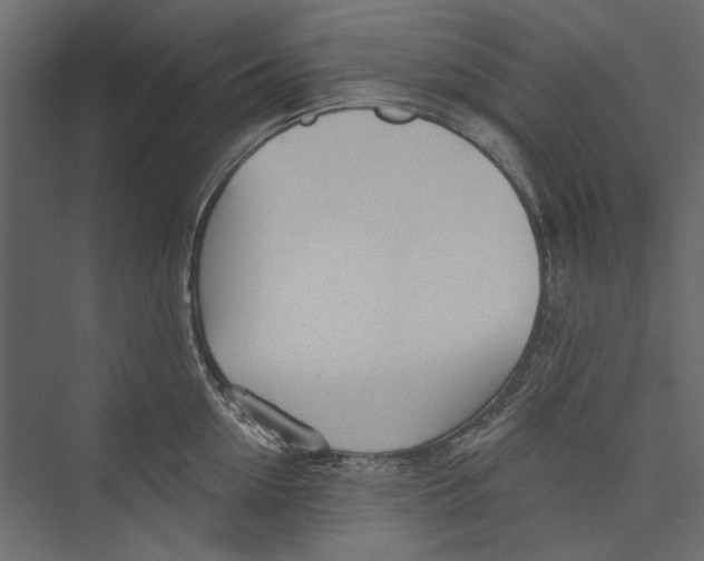 X0000075340954200610061651