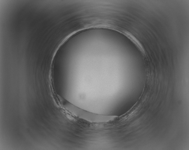 X0000075340956200610061651