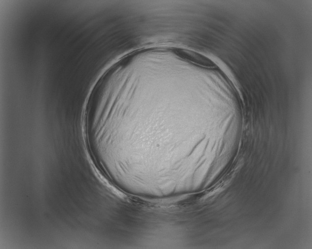X0000075340957200610061651