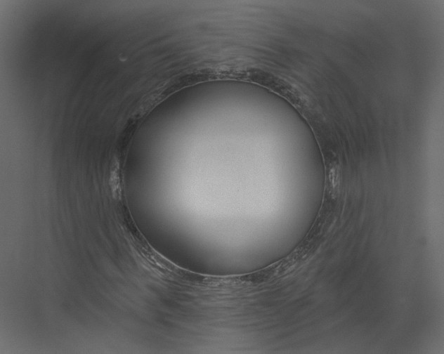 X0000075340963200610061650
