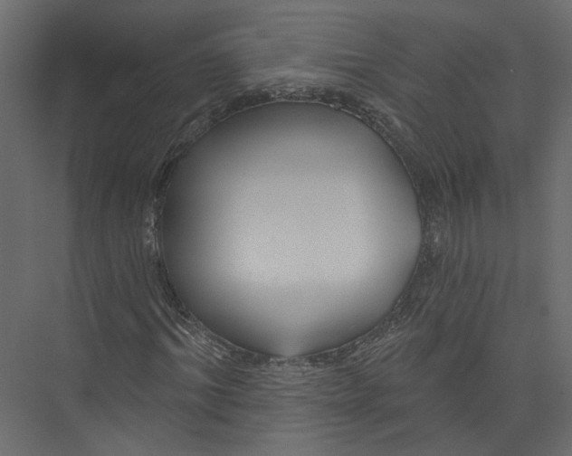 X0000075340964200610061650