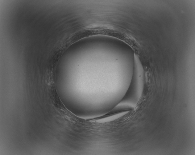 X0000075340965200610061650