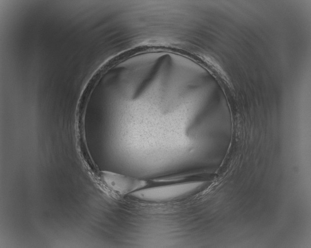 X0000075340976200610061650