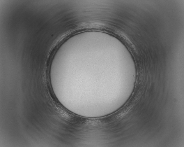 X0000075340978200610061650