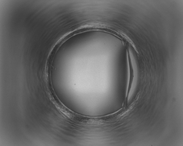 X0000075340981200610061650