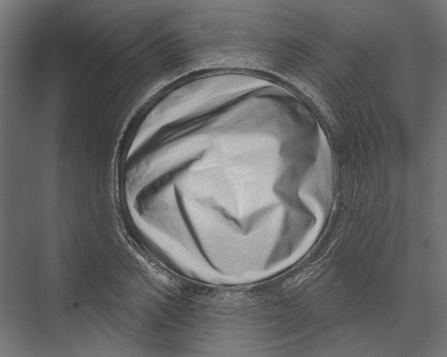 X0000075340982200610061650