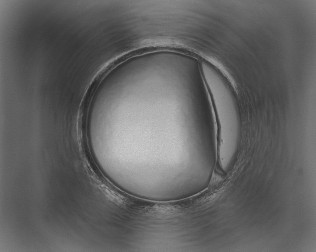 X0000075340983200610061650