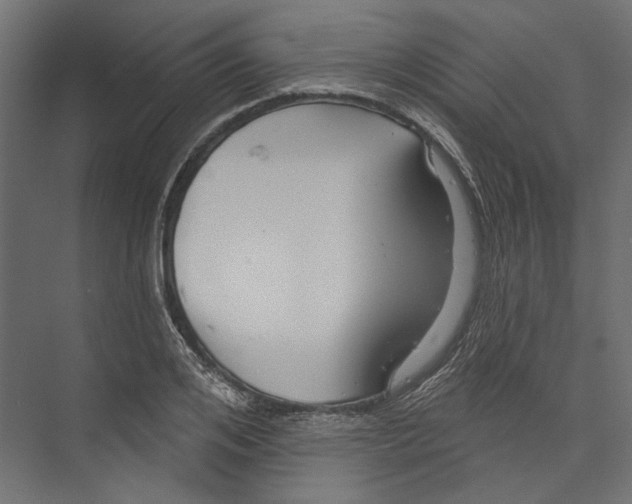 X0000075340984200610061650