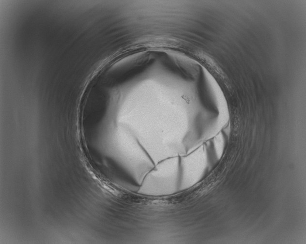 X0000075340986200610061650
