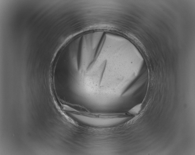 X0000075340989200610061650