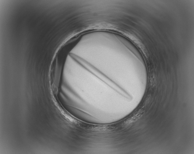 X0000075340990200610061650
