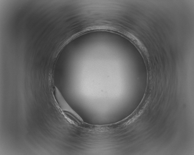 X0000075340993200610061650