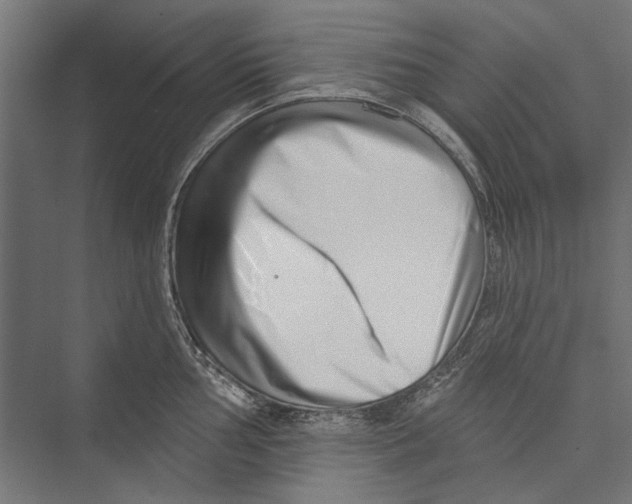 X0000075341002200610061650