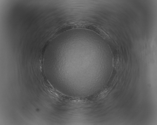 X0000075341010200610061649