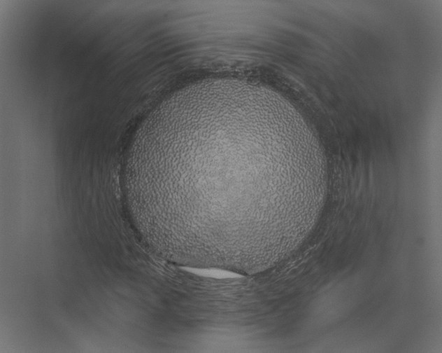 X0000075341013200610061649