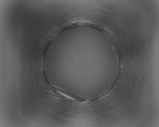 X0000075341014200610061649