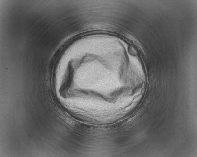 X0000075341019200610061649