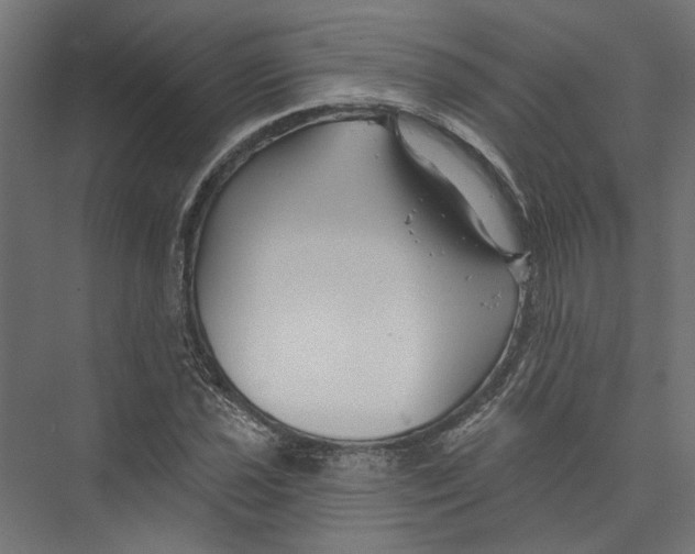 X0000075341021200610061649