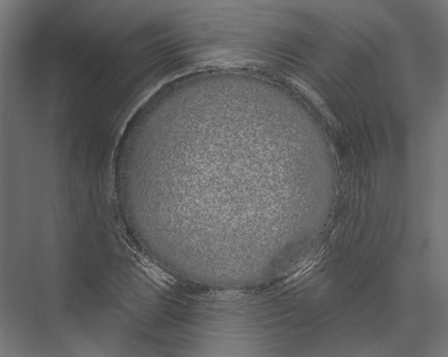 X0000075341023200610061649