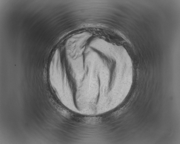 X0000075341025200610061649