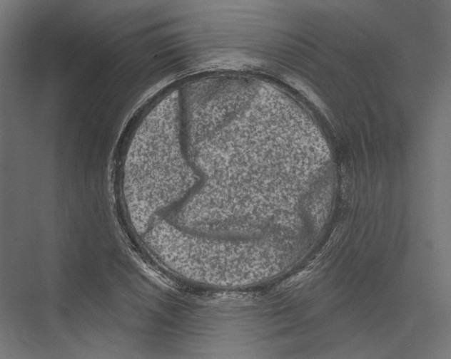 X0000075341026200610061649