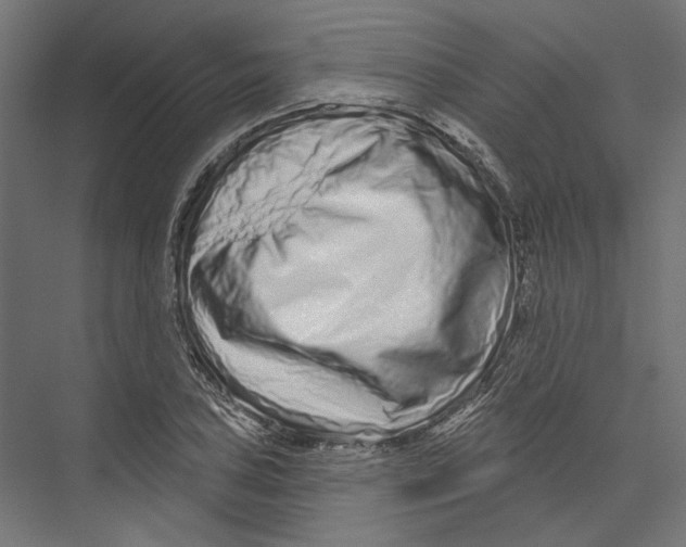 X0000075341027200610061649