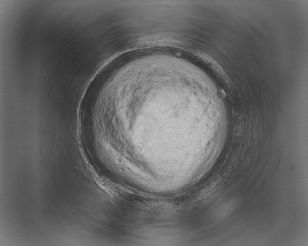 X0000075341031200610061649