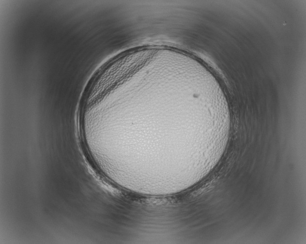 X0000075341032200610061649