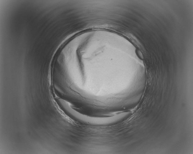 X0000075341036200610061649