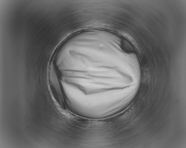 X0000075341039200610061649