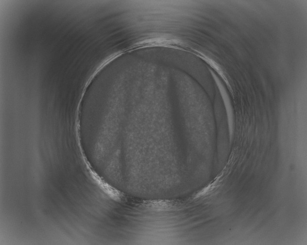 X0000075341042200610061649
