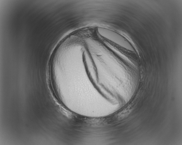 X0000075341048200610061650