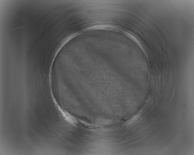 X0000075341050200610061650