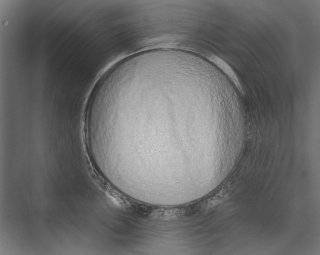 X0000075341051200610061650