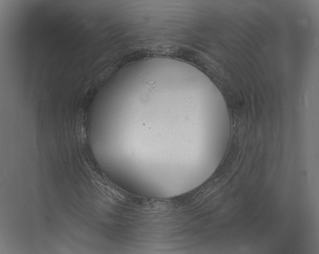 X0000075341058200610061649