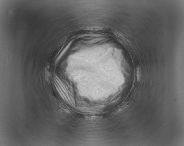 X0000075341059200610061649