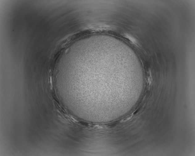 X0000075341063200610061649