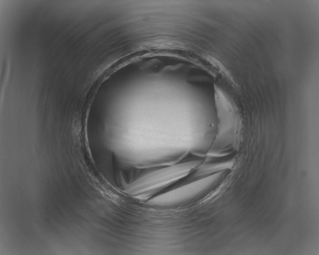 X0000075341065200610061649