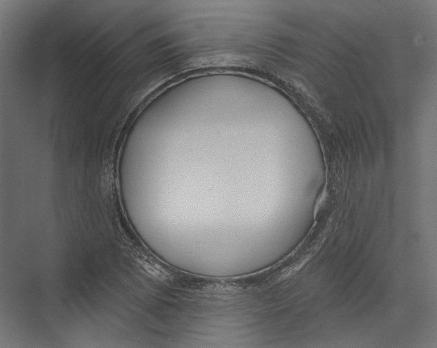 X0000075341073200610061649