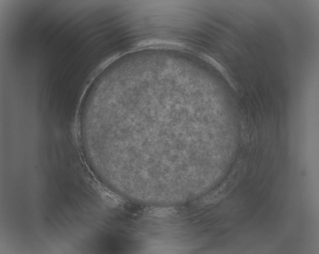 X0000075341074200610061649