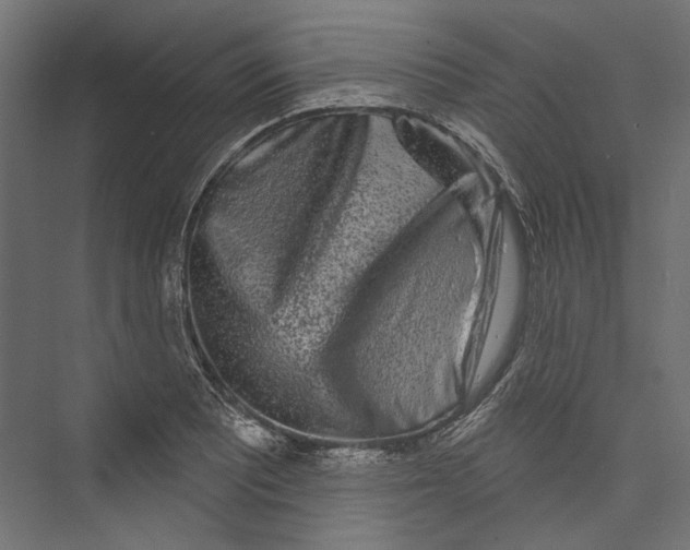 X0000075341081200610061648