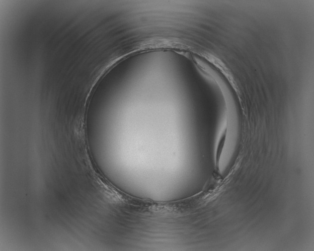 X0000075341089200610061648