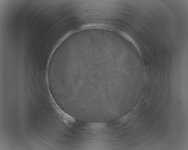 X0000075341090200610061648